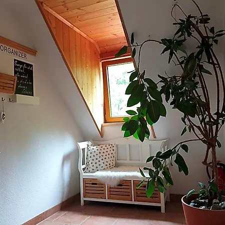 Bergfuehrerhaus 3* Ramsau am Dachstein