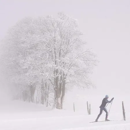 Frühstückspension Bergführerhaus 3*