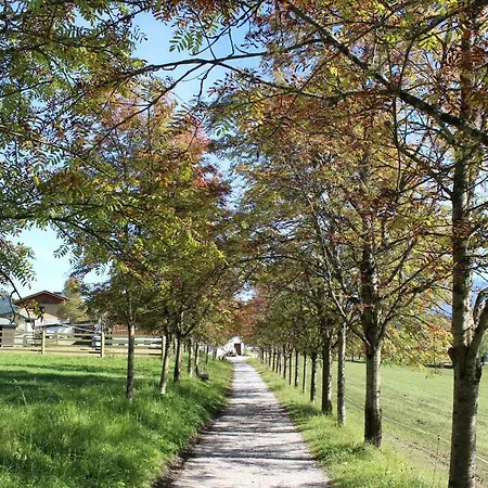 Frühstückspension Bergführerhaus 3*