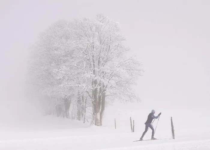 Panzió Bergfuehrerhaus 3*