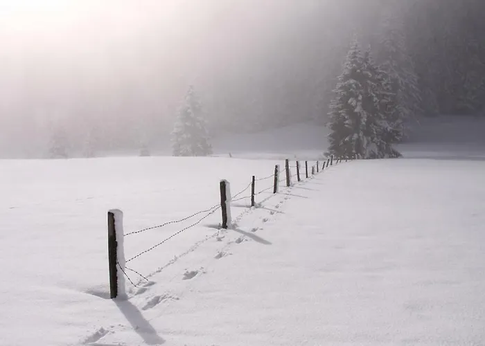 Bergfuehrerhaus Ramsau am Dachstein